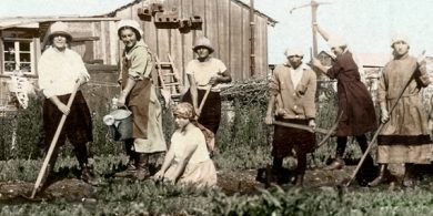 משתלת משק הפועלות