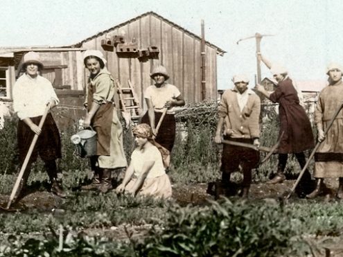 משתלת משק הפועלות