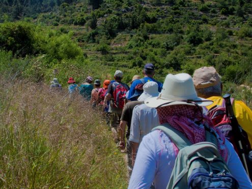 צילום מוטי בן ארי