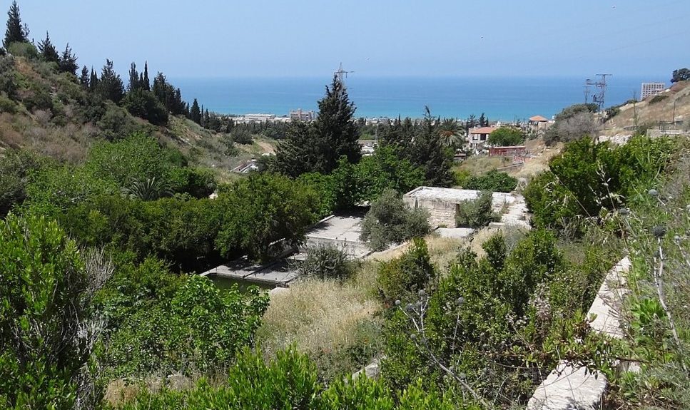 נחל שיח. צילום: Hanay ויקיפדיה.