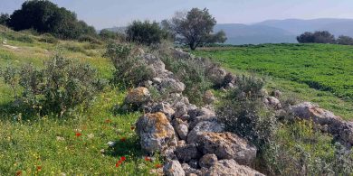 בין תלים ודפים בשפלה - צילום שרה פרי