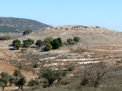 ידפת, צילום- אורן רוזן