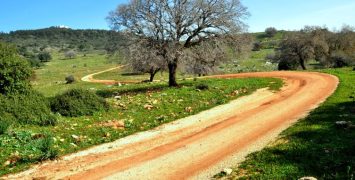 שביל נוף הכרמל, ויקיפדיה
