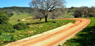 שביל נוף הכרמל, ויקיפדיה
