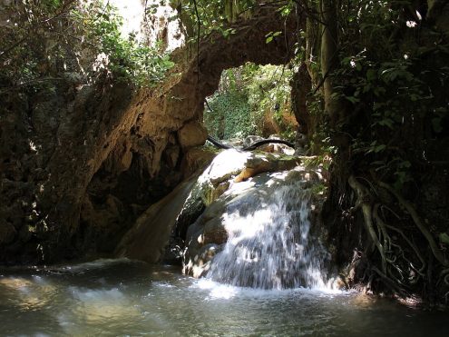 נחל עמוד. Yair Aronshtam ויקיפדיה