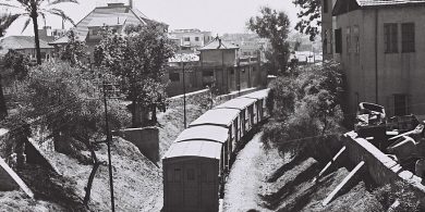 זולטן קלוגר 1946