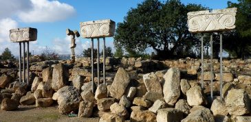 עם התנך ביד . DYKT Mohigan