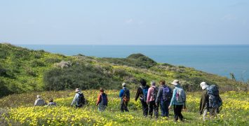 צילום נטע אביטל