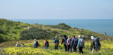 צילום נטע אביטל