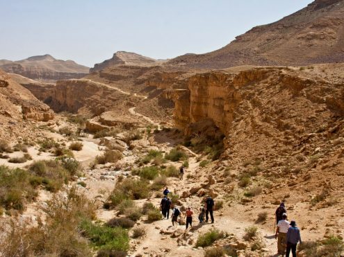 נחל חתירה. צילום - מוטי בן ארי, יד בן־צבי