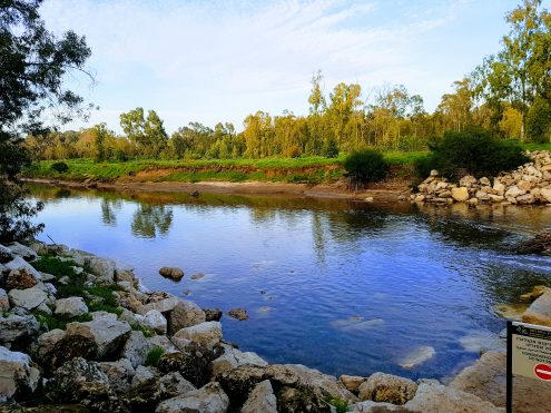 נחל שורק באזור פלמחים, צילום בר, ויקיפדיה
