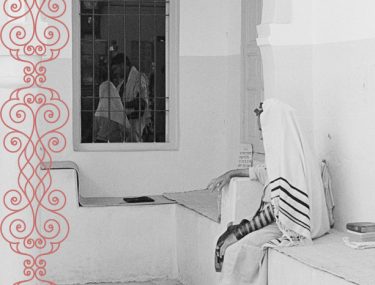 צילום- דיויד בנאינוס