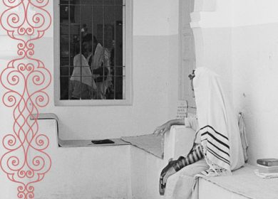 צילום- דיויד בנאינוס